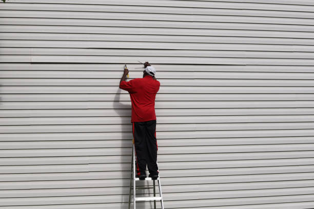 Best Siding Removal and Disposal  in Skyline, AL